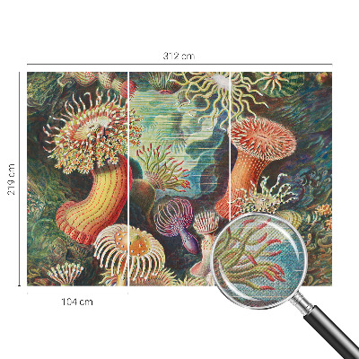 Selbstklebende Fototapete fürs Schlafzimmer mit Zieranemonen-Motiv
