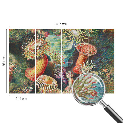 Selbstklebende Fototapete fürs Schlafzimmer mit Zieranemonen-Motiv