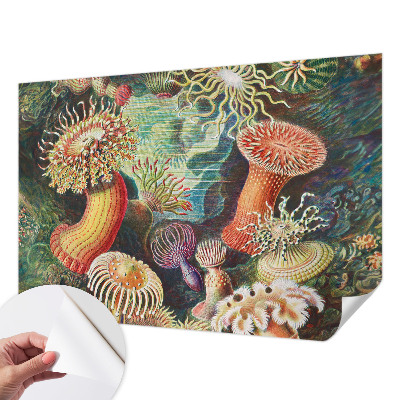 Selbstklebende Fototapete fürs Schlafzimmer mit Zieranemonen-Motiv