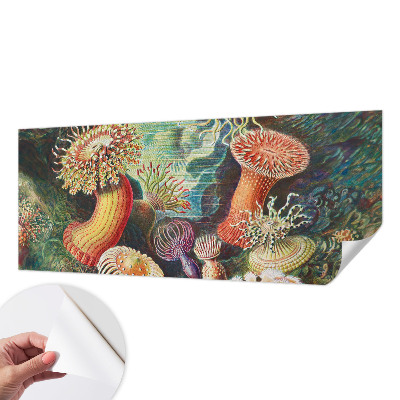 Selbstklebende Fototapete fürs Schlafzimmer Zieranemonen