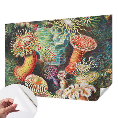 Selbstklebende Fototapete fürs Schlafzimmer mit Zieranemonen-Motiv