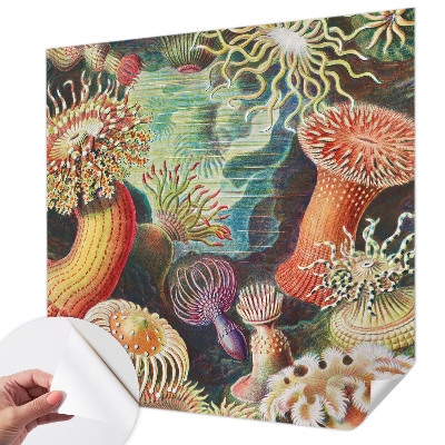 Selbstklebende Fototapete fürs Schlafzimmer mit Zieranemonen-Motiv