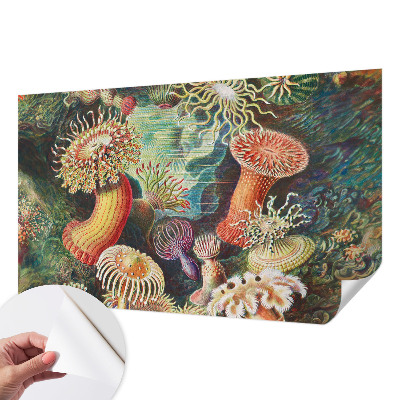 Selbstklebende Fototapete fürs Schlafzimmer mit Zieranemonen-Motiv