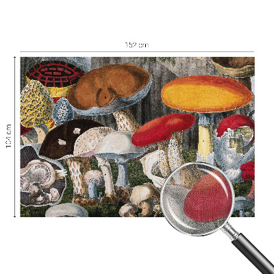 Motivtapete fürs Wohnzimmer Botanische Pilze