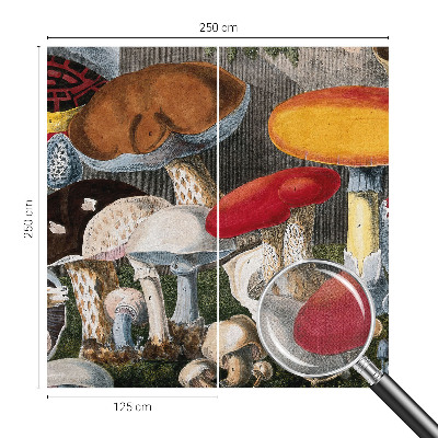 Motivtapete fürs Wohnzimmer Botanische Pilze