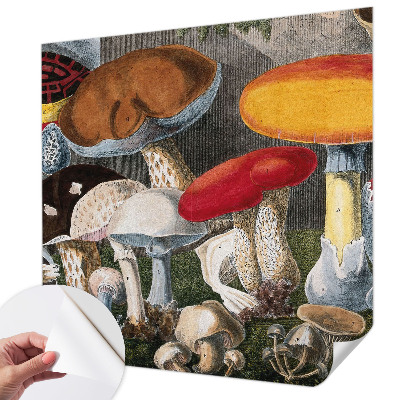 Motivtapete fürs Wohnzimmer mit botanischem Pilzmotiv