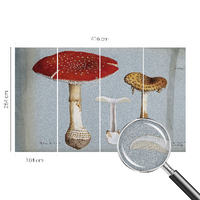 Selbstklebende Fototapete mit Pilzgravuren