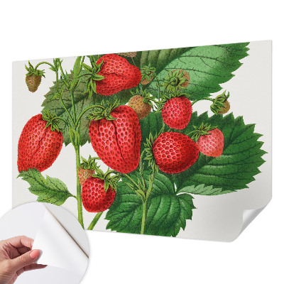 Selbstklebende Fototapete für die Wand mit Sommerfrüchten