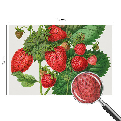Selbstklebende Fototapete für die Wand mit Sommerfrüchten