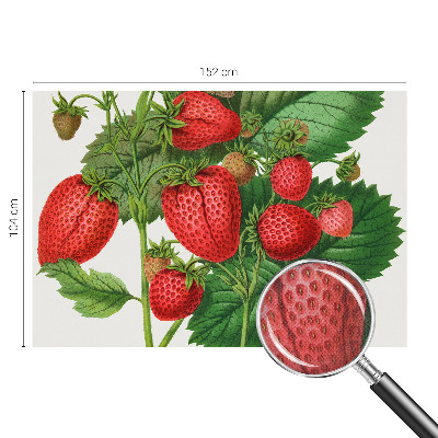 Selbstklebende Fototapete für die Wand mit Sommerfrüchten
