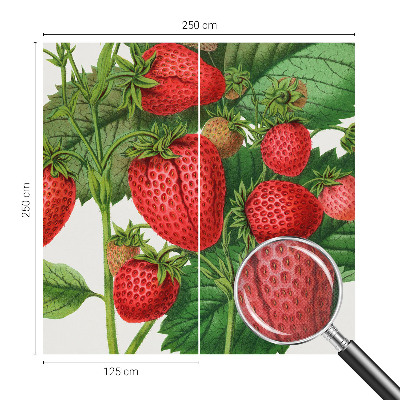 Selbstklebende Fototapete für die Wand mit Sommerfrüchten