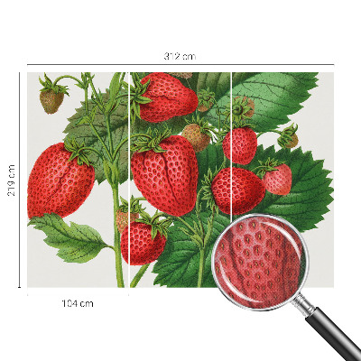 Selbstklebende Fototapete für die Wand mit Sommerfrüchten