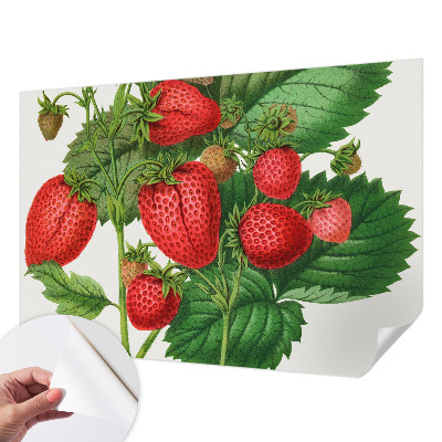 Selbstklebende Fototapete für die Wand mit Sommerfrüchten