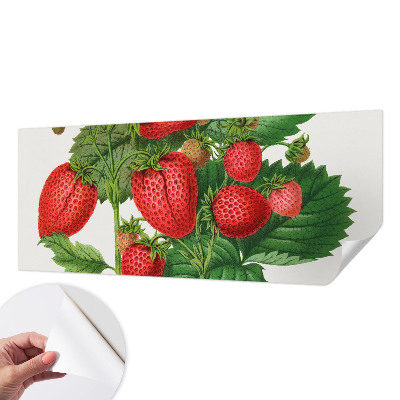 Selbstklebende Fototapete für die Wand mit Sommerfrüchten