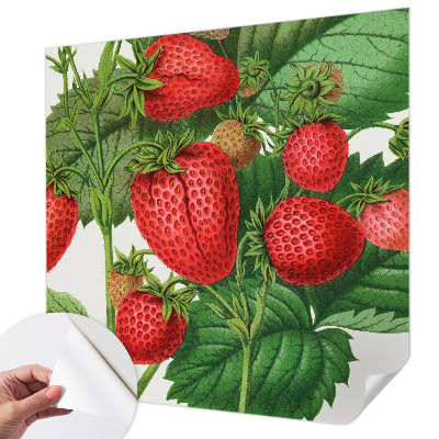 Selbstklebende Fototapete für die Wand mit Sommerfrüchten