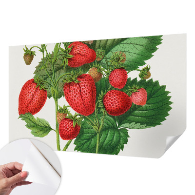 Selbstklebende Fototapete für die Wand mit Sommerfrüchten