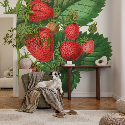 Selbstklebende Fototapete für die Wand mit Sommerfrüchten