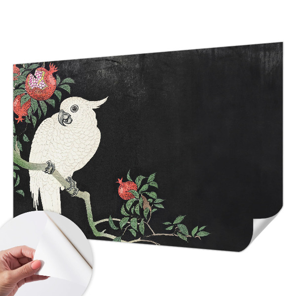 87D-Fototapete fürs Wohnzimmer Granatapfelpapagei