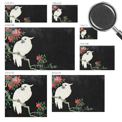 87D-Fototapete fürs Wohnzimmer Granatapfelpapagei