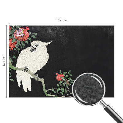 87D-Fototapete fürs Wohnzimmer Granatapfelpapagei