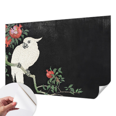 87D-Fototapete fürs Wohnzimmer Granatapfelpapagei