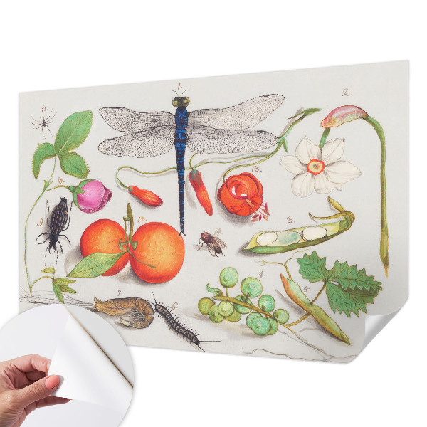 Motivtapete nach Maß Naturillustration