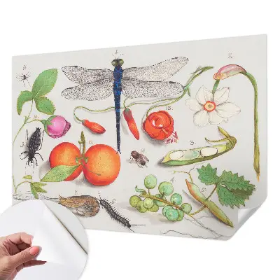 Motivtapete nach Maß mit einer Naturillustration