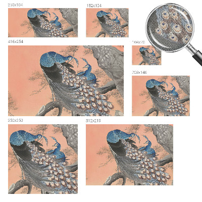 Selbstklebende Fototapete fürs Wohnzimmer Pfaueneleganz