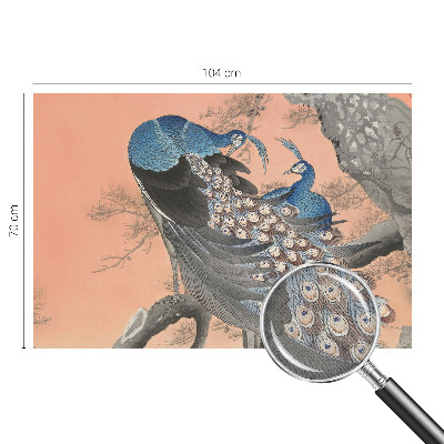 Selbstklebende Fototapete fürs Wohnzimmer Pfaueneleganz