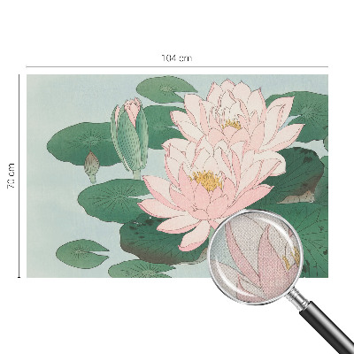 Selbstklebende Fototapete für die Wand mit Motiv Wasserlotus