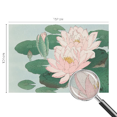 Selbstklebende Fototapete für die Wand mit Motiv Wasserlotus