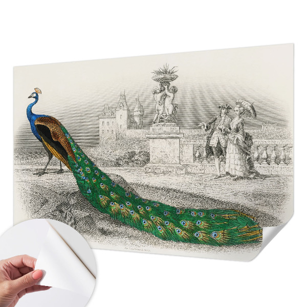 Selbstklebende Fototapete fürs Schlafzimmer Bunte Federn