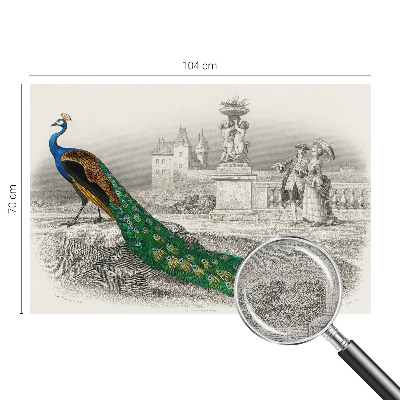 Selbstklebende Fototapete fürs Schlafzimmer Bunte Federn