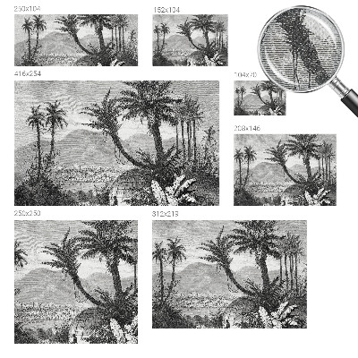 Fototapete in 3D-Optik mit tropischem Oasenmotiv