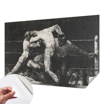 Selbstklebende Fototapete fürs Wohnzimmer mit dem Motiv eines Boxerduells