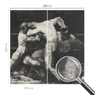 Selbstklebende Fototapete fürs Wohnzimmer Boxerduell