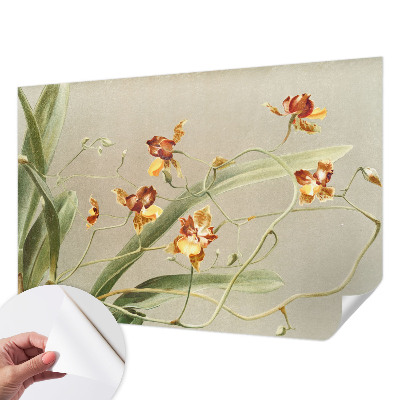 91D-Fototapete fürs Schlafzimmer mit klassischem Orchideenmotiv