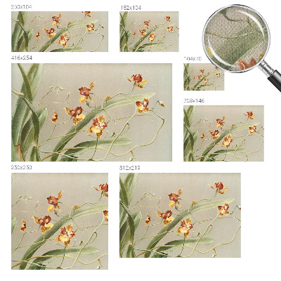 91D-Fototapete fürs Schlafzimmer mit klassischem Orchideenmotiv