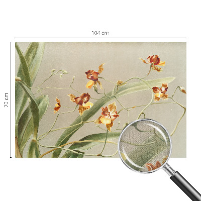 91D-Fototapete fürs Schlafzimmer mit klassischem Orchideenmotiv