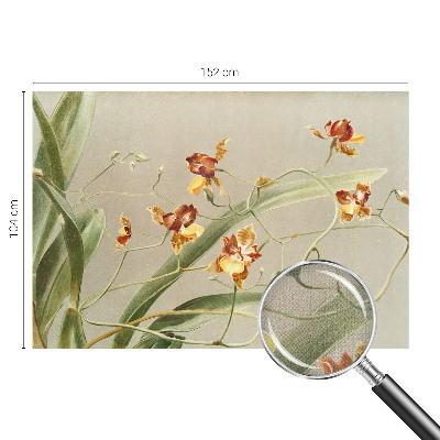 91D-Fototapete fürs Schlafzimmer mit klassischem Orchideenmotiv