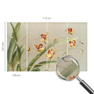 91D-Fototapete fürs Schlafzimmer mit klassischem Orchideenmotiv