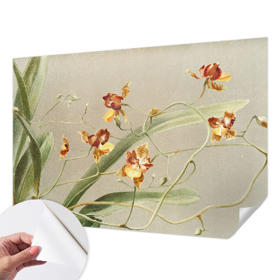 91D-Fototapete fürs Schlafzimmer mit klassischem Orchideenmotiv