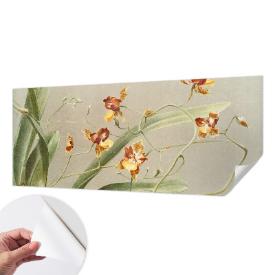 91D-Fototapete fürs Schlafzimmer mit klassischem Orchideenmotiv