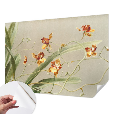 91D-Fototapete fürs Schlafzimmer mit klassischem Orchideenmotiv
