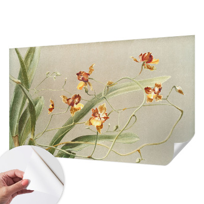 91D-Fototapete fürs Schlafzimmer mit klassischem Orchideenmotiv