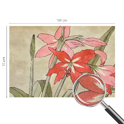 Moderne Fototapete nach Maß mit Motiv aus Taglilienblüten