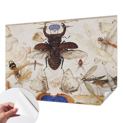 Selbstklebende Fototapete Natürliche Harmonie