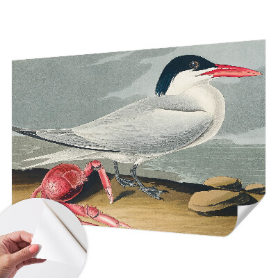 92D-Fototapete fürs Wohnzimmer Meereslandschaft