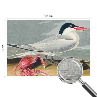 92D-Fototapete fürs Wohnzimmer Meereslandschaft