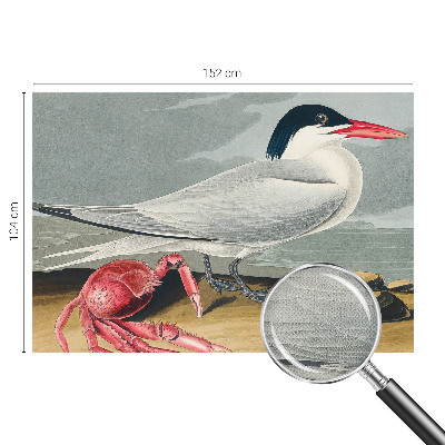 92D-Fototapete fürs Wohnzimmer Meereslandschaft